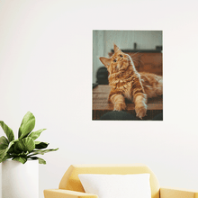 Cargar imagen en el visor de la galería, foto de un gato impresa sobre pieza de madera perfecta para colgar en casa
