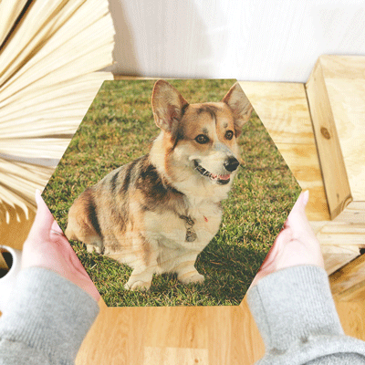 Print hexagonal con foto de perrito impresa 